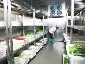 饭堂蔬菜配送过程中涉及到哪些关键问题？